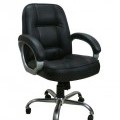 Low  back revolving chair