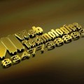 3d wooden effects logo for 600