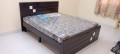 Queen Size Bed Without Storage in Amrita Nagar Bangalore